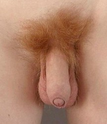 dicks_170406 58e61221020c2.jpg