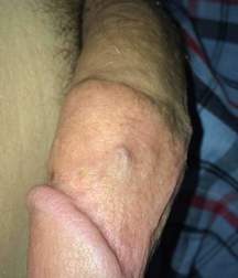 webfinds_170523 5923dea42219a.jpg