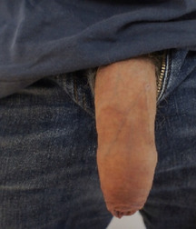 dicks_170504 592d29e612091.jpg