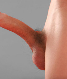 webfinds_170718 596d9ccb02fb3.jpg