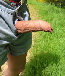 biggest dick collection 170804-1 59843324385fc.jpg