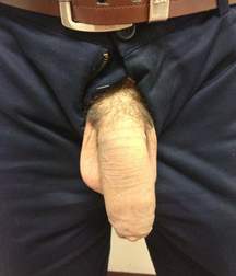 biggest dick collection 170804-4 598434252c02c.jpg