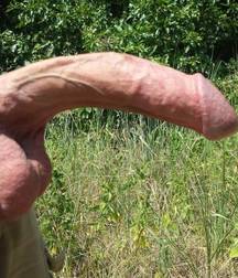 biggest dick collection 170804-5 5984349955aea.jpg
