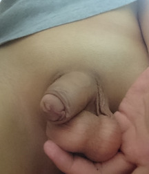 dicks_170917 59d4ca06d5b89.jpg