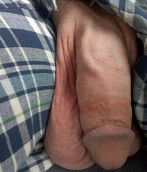 dicks 180704 5b3d14e4d839c.jpg