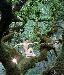 Mes arbres et leurs fruits désirables et si sucrés... 5c3e350f7fd79.jpg
