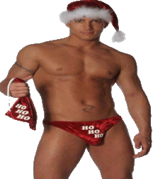 Ho Ho Ho 584d4a30e28c4.gif