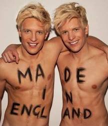 Twins 5871da6b423c5.jpeg
