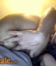 Sages' Fav. Boys 2 59b614e77a1b3.jpg