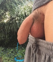 Uploaded by:tomcat1 597e76a67f6cf.jpg