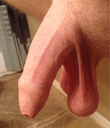 Uploaded by:tomcat1 597e77a402595.jpg