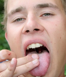 Harry 585822e9a6fd4.jpg