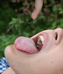 Harry 585822ec9d9df.jpg