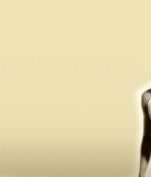 Wallpapers 5859830a86e82.jpg