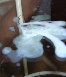 Surok 5890a8e9d11d2.jpg