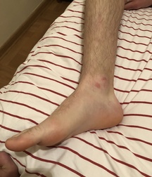 My sweet Nikita 5b759beb79ad2.jpg