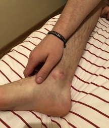 My sweet Nikita 5b759bf2bd6b6.jpg