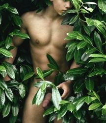 Into the Woods 589efa45bc20d.jpg