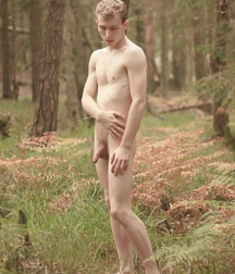 Into the Woods 589efa4d1a3b6.png