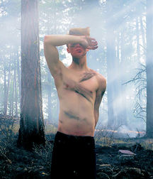 Shirtless Artistic Beauty 5910425397b93.jpg