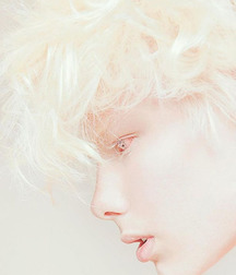 Mix and Mash 3 592e64f2801e4.jpg
