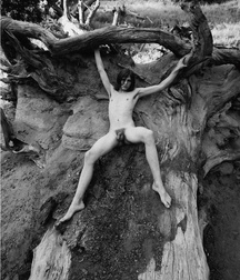 Beauty Without Colour 593d0ea414e18.jpg