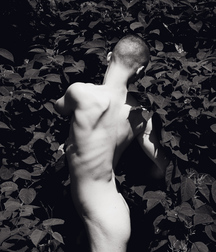 Beauty Without Colour 593d0eb2dbe98.jpg