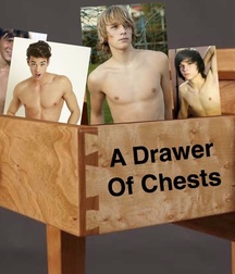 A Drawer of Chests