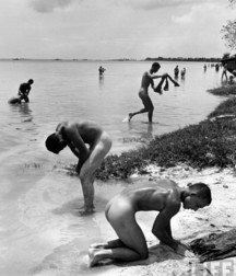 For Lovers of Black and White Photography 5946c97862208.jpg
