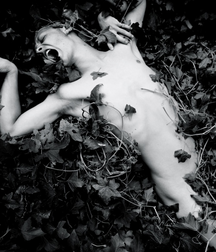 Another Black and White Selection 599d7539e1e17.png