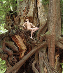 Artistic Nudity and other Beautiful Things 5a27a93f76ffe.jpg