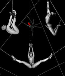 Artistic Nudity and other Beautiful Things 5a27a95cb61de.jpg