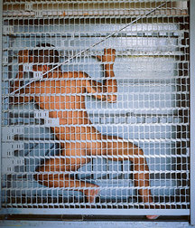 Artistic Nudity and other Beautiful Things 5a27a95f1dd0c.jpg