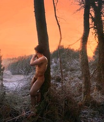 Artistic Nudity and other Beautiful Things 5a27a970dba76.jpg