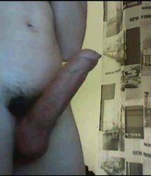 Cocks 58bf00f0b30c6.jpg