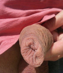 Nice Dicks 4 58d64f83676bd.jpg