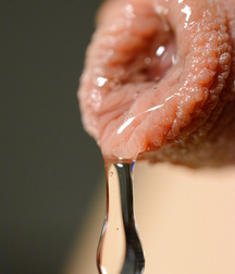 Nice Dicks 4 58d64f85174f5.jpg