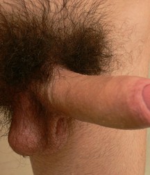 Arturo 5880d92d3f8bd.jpg