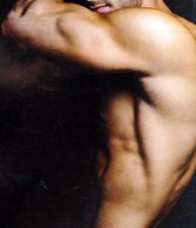 Muscles Models 58d2b4f7246ab.jpg