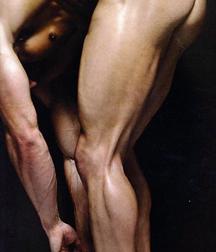 Muscles Models 58d2b57e9f726.jpg