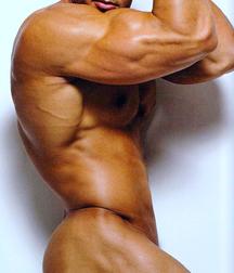 Muscles Models 58d2b5e740377.jpg