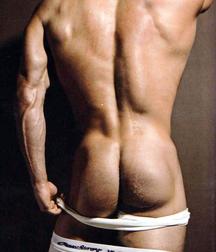 Muscles Models 58d2b5f124744.jpg