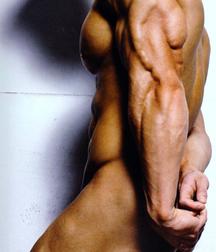 Muscles Models 58d2b62c5ddc0.jpg