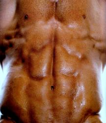 Muscles Models 58d2b634b867c.jpg