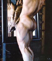 Muscles Models 58d2b68e80a7b.jpg