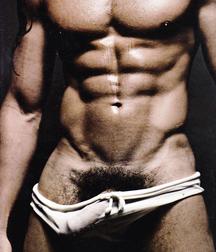 Muscles Models 58d2b6c6b58bc.jpg