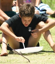 Beach and Triathalon 587935fb038e4.jpg