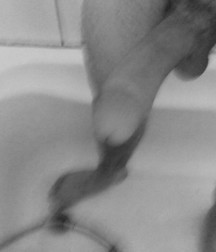 In the shower 58720b36402a9.jpg