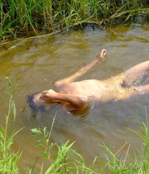 H20 Boyz 5a525c3fd01e4.jpg