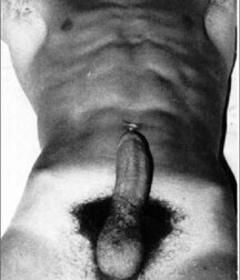 a touch of gray boys porn 5fa1f2b9e9cf6.jpg